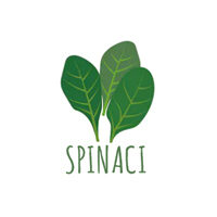 spinaci